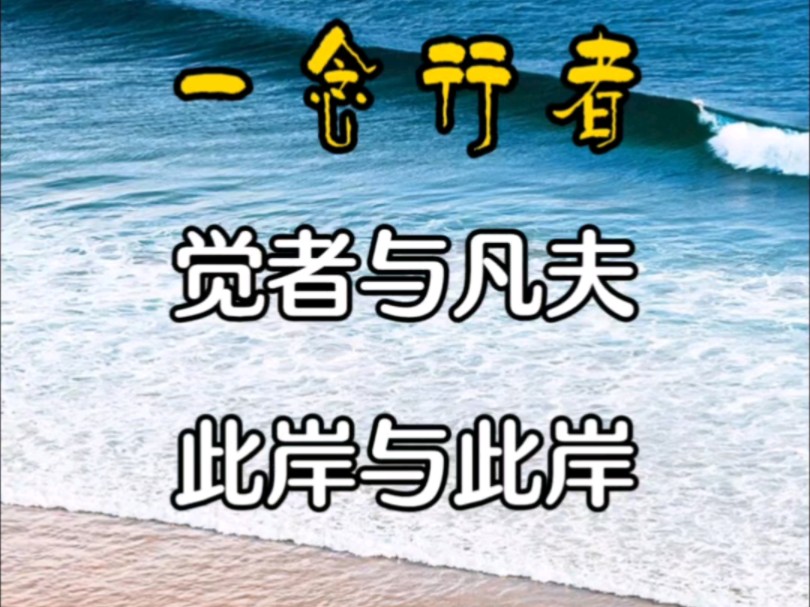 明镜照银波——觉者与凡夫——一念行者