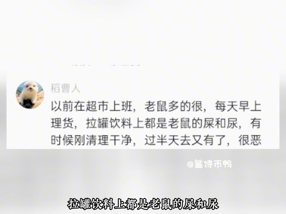 小概率事件但灌装饮料还是不要直接对嘴喝,有可能被老鼠和蟑螂爬过!哔哩哔哩bilibili