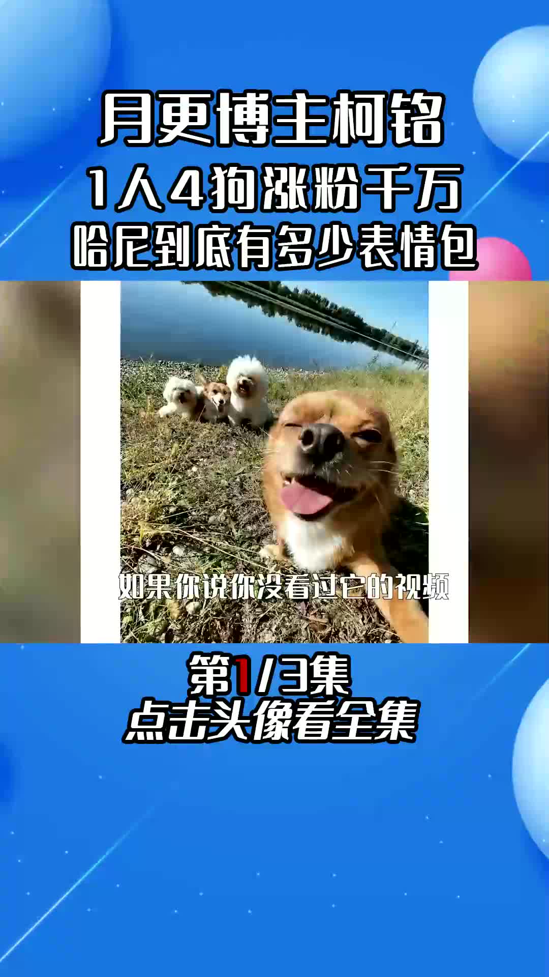 情帝哈尼的表情包,你都用过哪些哔哩哔哩bilibili