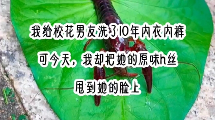 绿色心情:我给校花男友洗了10年内衣内裤.可今天,我却把她的原味h丝甩到她的脸上……哔哩哔哩bilibili