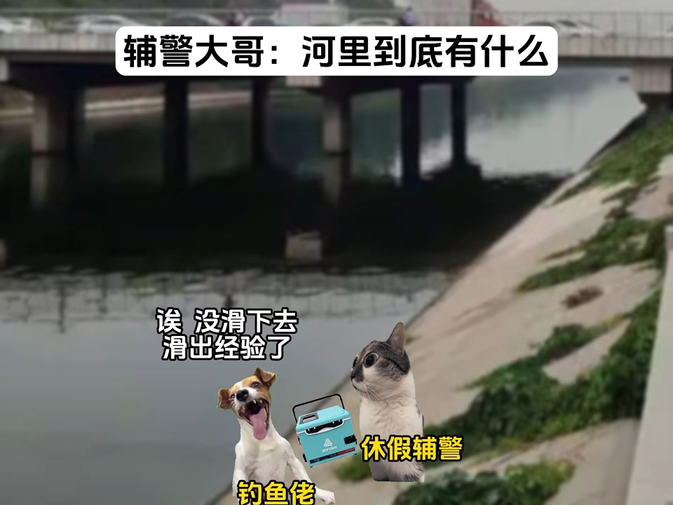 辅警大哥：好不容易休息一天...#猫meme小剧场#真实还原#搞笑#钓鱼佬#热心