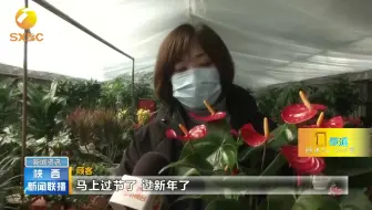人勤春早产业旺 花开争艳春意浓