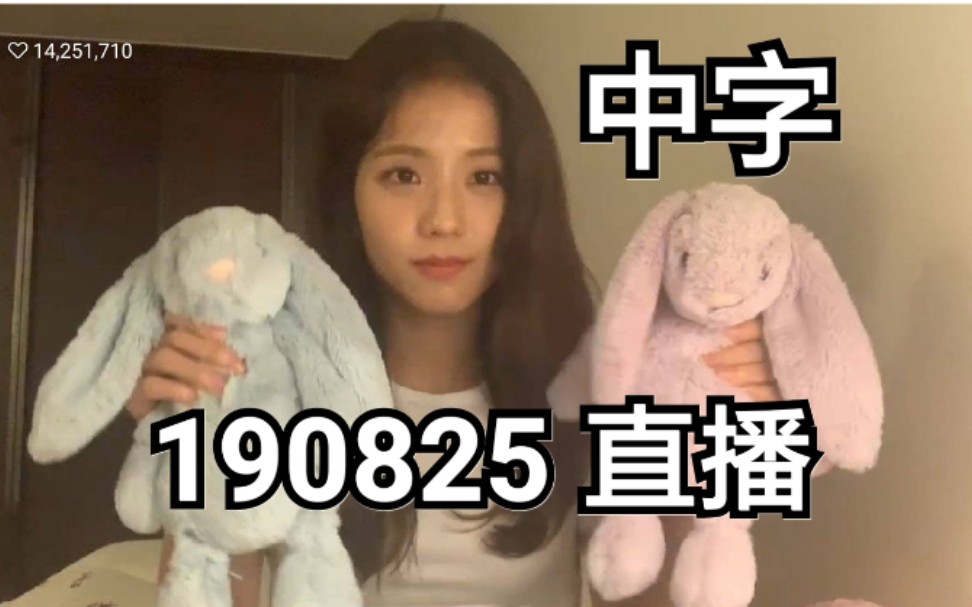 [图]【BLACKPINK】190825 中字 Jisoo直播完整版