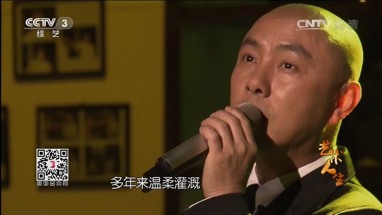 [图]艺术人生(电视剧《隋唐英雄3》主题曲) 《疼爱》演唱：张卫健