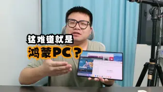 Download Video: 我似乎发现了鸿蒙PC ! 分享平板电脑端鸿蒙NEXT