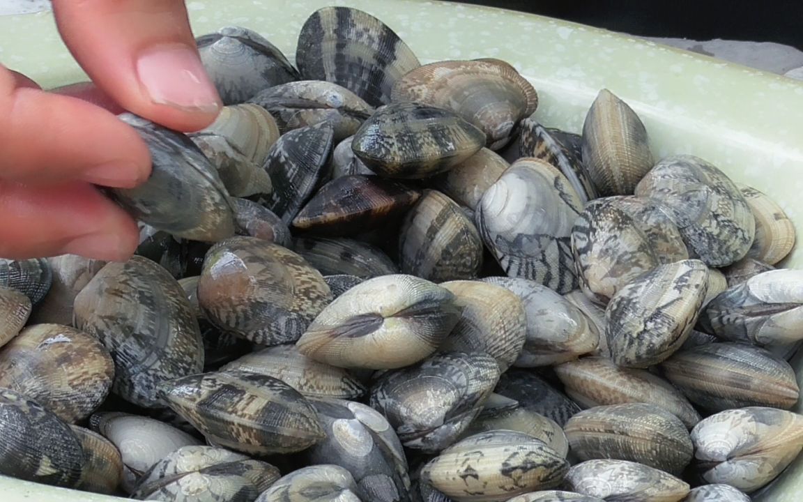 阿运秘制辣炒螺仔,香辣入味好吃到哭,一人干掉一大盘