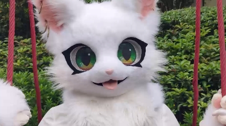 尺玉tama春天的猫猫真是特别可爱