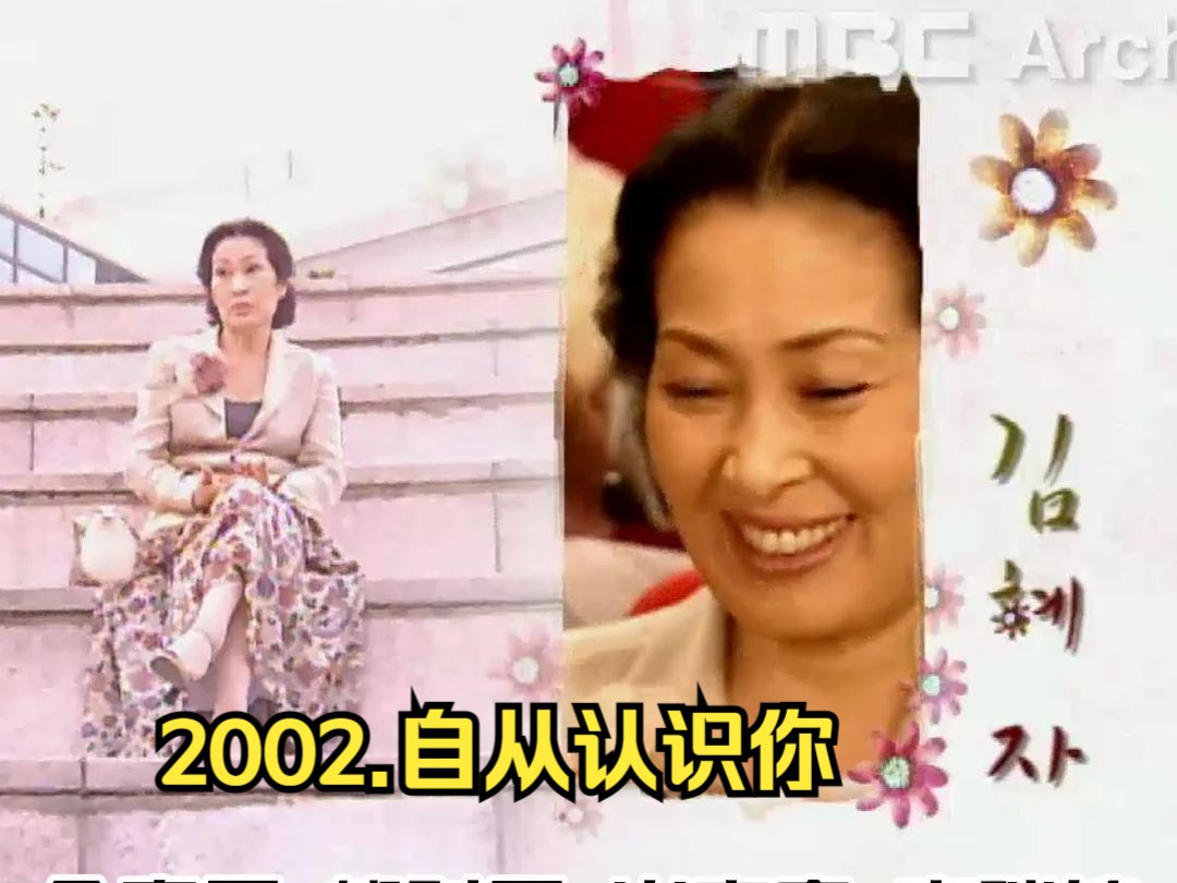 2002.经典韩剧.自从认识你.高清韩语无字.48集全哔哩哔哩bilibili