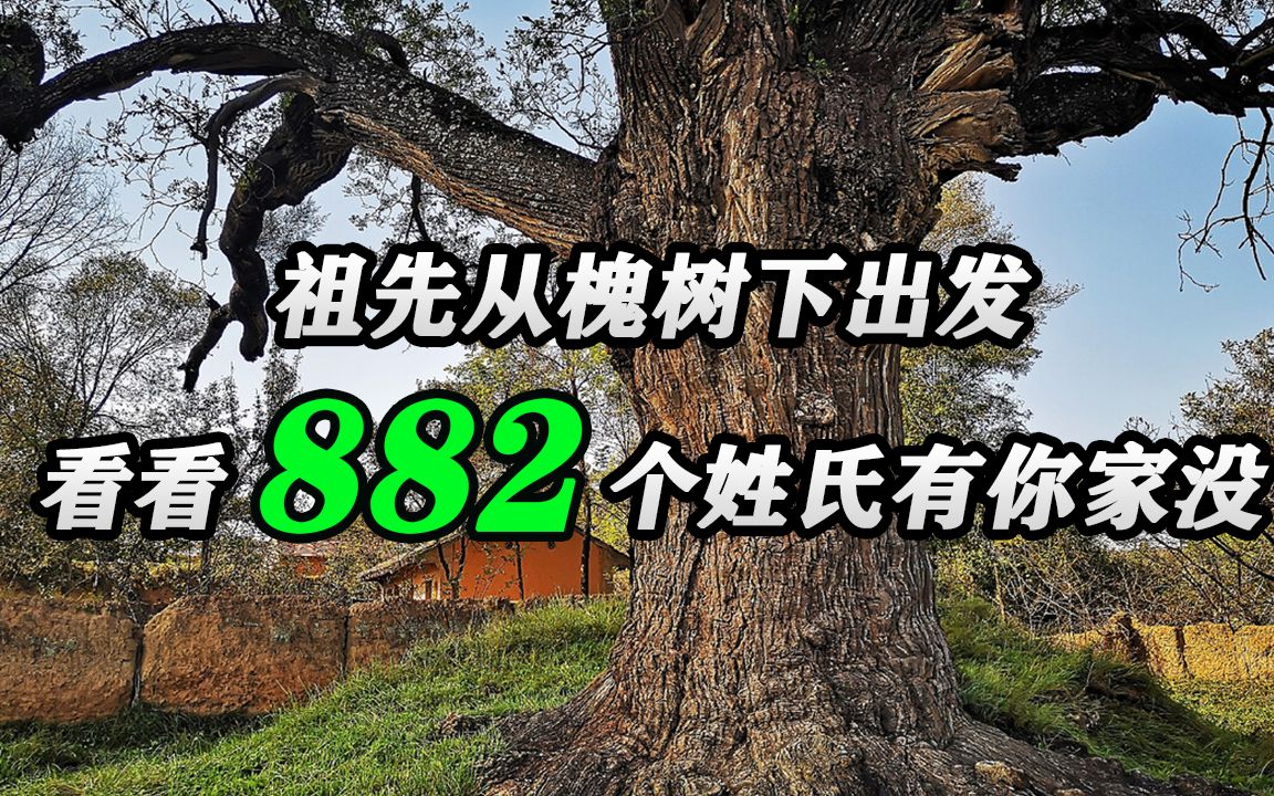 [图]我们祖先都来自哪里？明朝882个姓氏从槐树下出发，看有你家的没