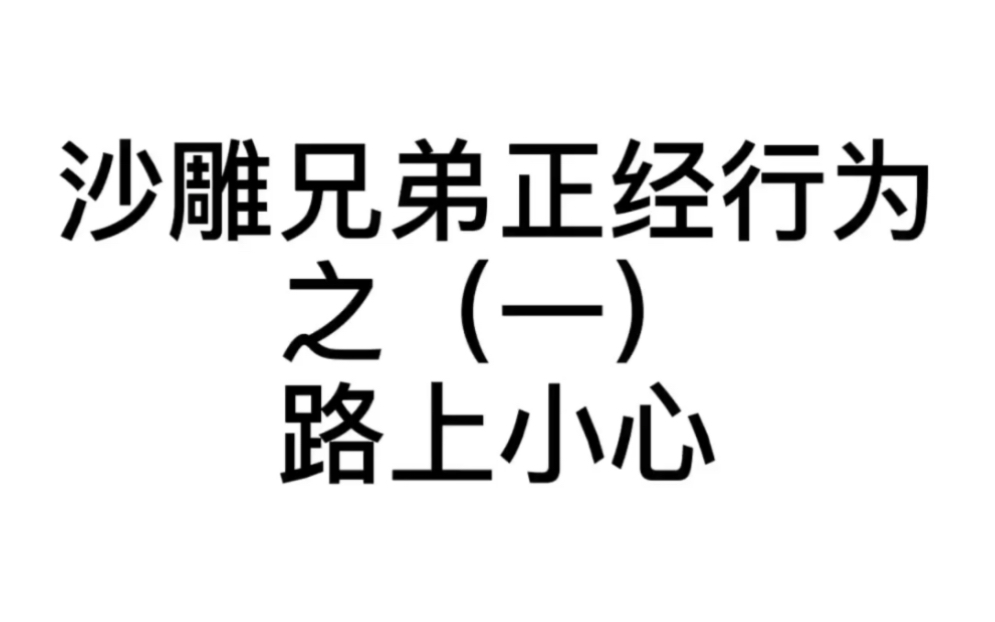 [图]沙雕兄弟正经行为之（一） | 路上小心