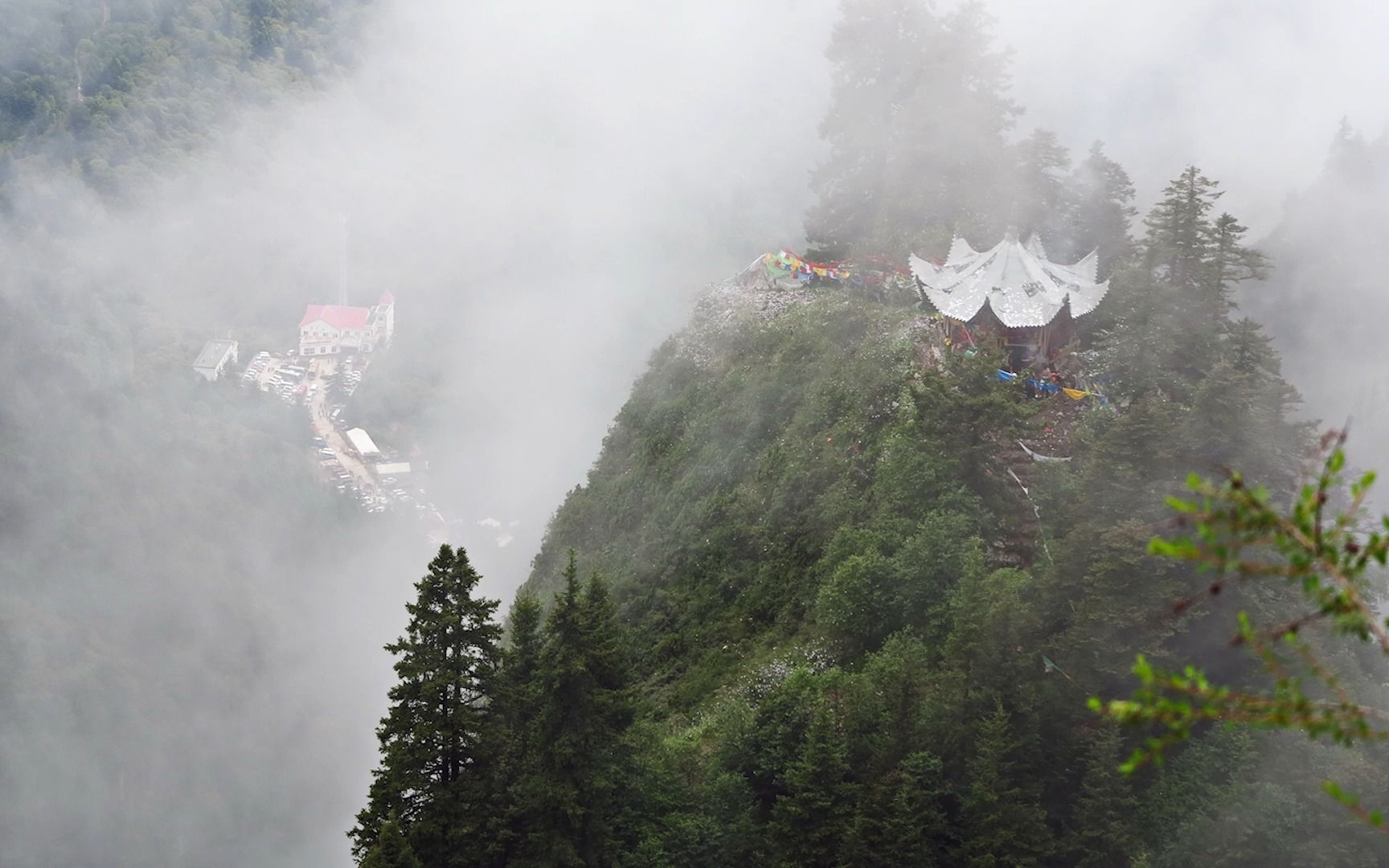 [图]莲花山，花儿的故乡，因为原始性有着惊世美景