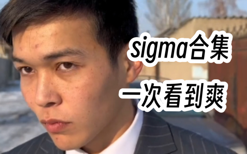 [图]sigma合集 一次看到爽！