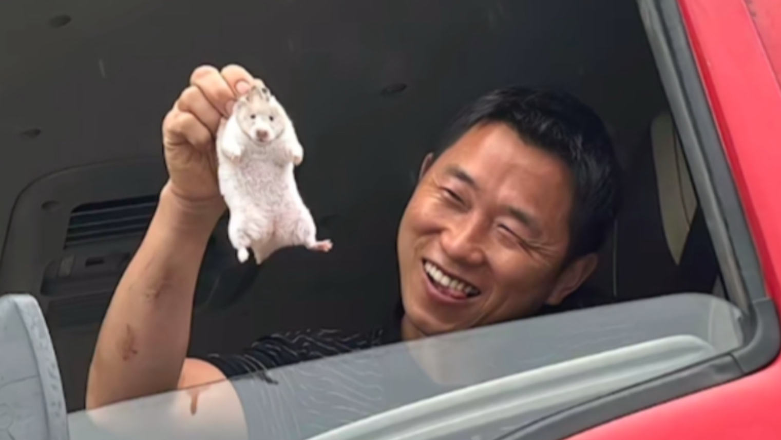 不开心的话，不妨来看看这个！