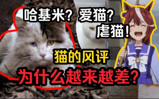 为什么在网上猫的风评越来越差?名为爱猫实为虐猫?哔哩哔哩bilibili