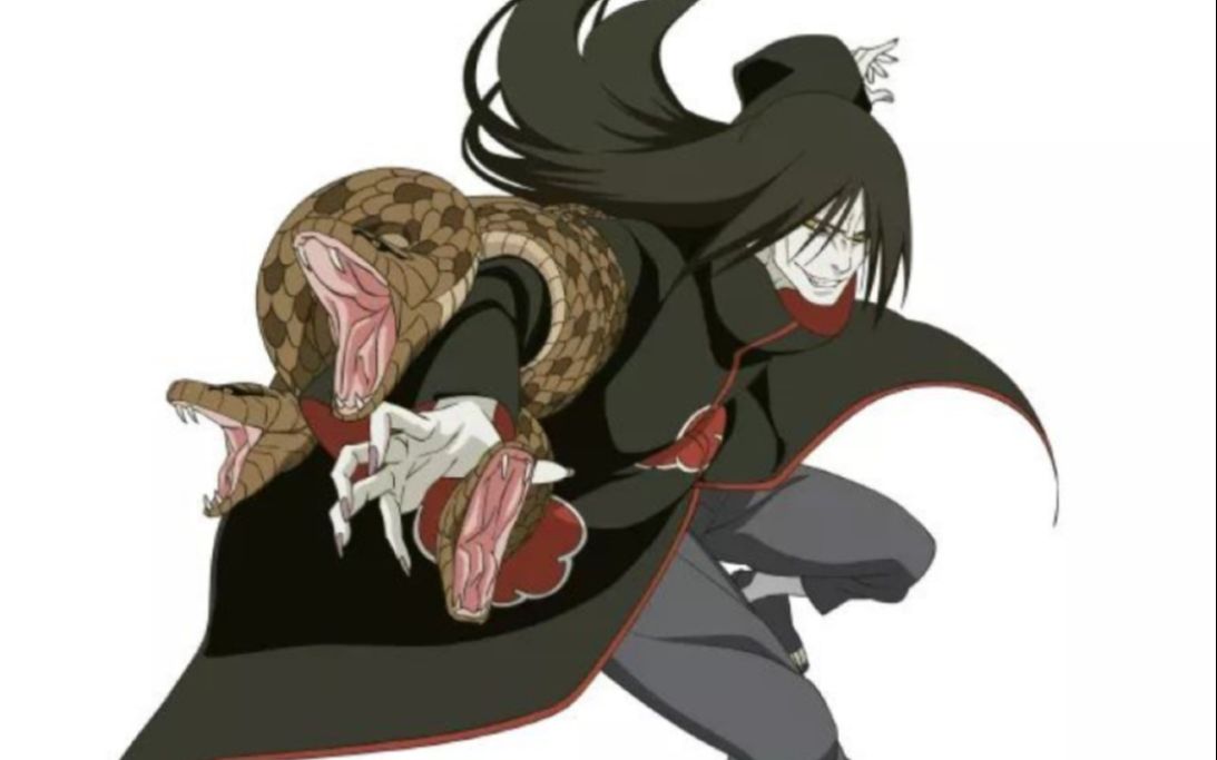 你!可以永远相信晓蛇!