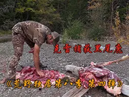 Download Video: 荒野独居第八季最强篇，克雷捕获头黑尾鹿，成功收获四十六斤纯肉