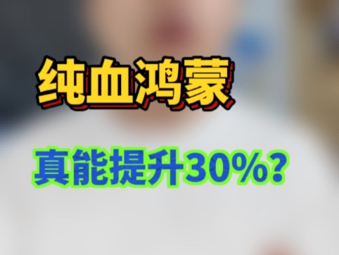 华为到底有没有吹牛,纯血鸿蒙真的能提升至少30%系统性能吗?真相让人大跌眼镜!哔哩哔哩bilibili