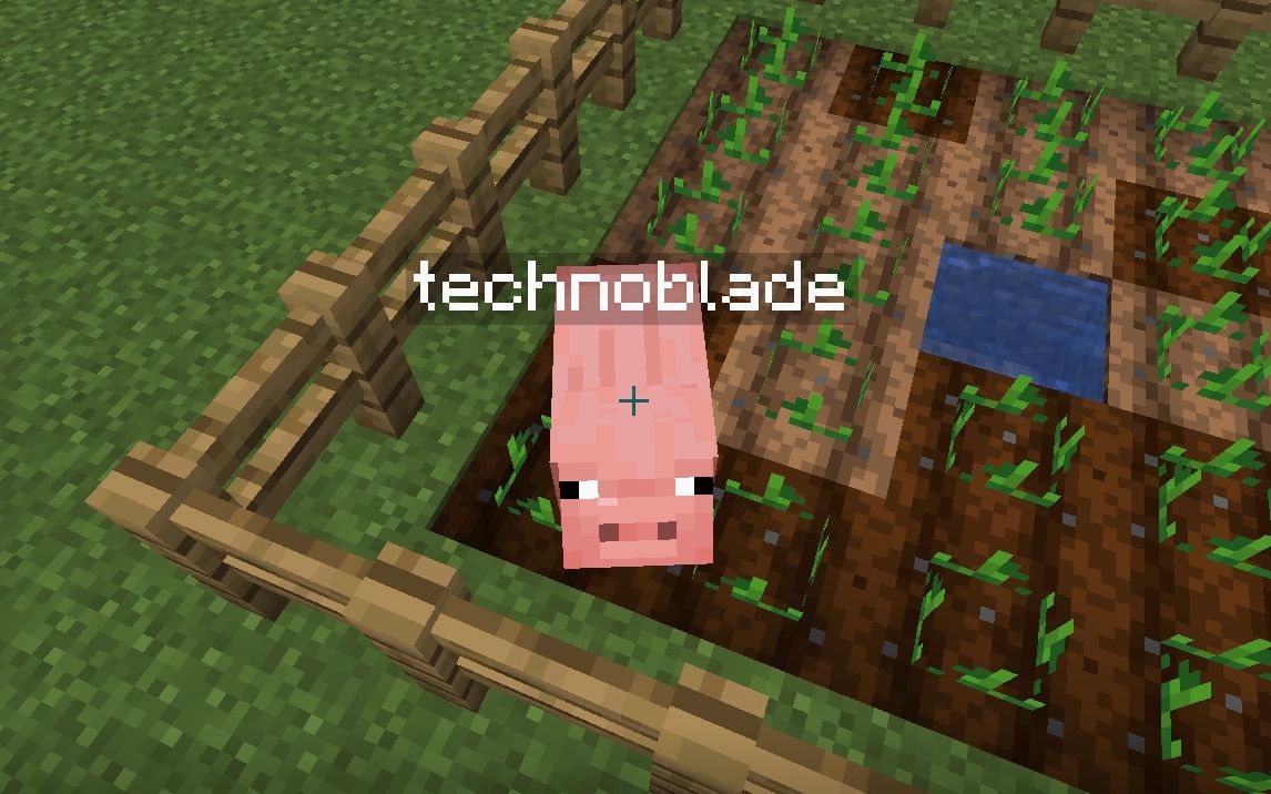 technoblade never die