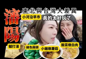 Descargar video: 瀋陽D1東北早市太好玩了吧!!!口音用語真不同啊~好友婆婆做一桌超豐盛東北菜!!太幸福了!!!