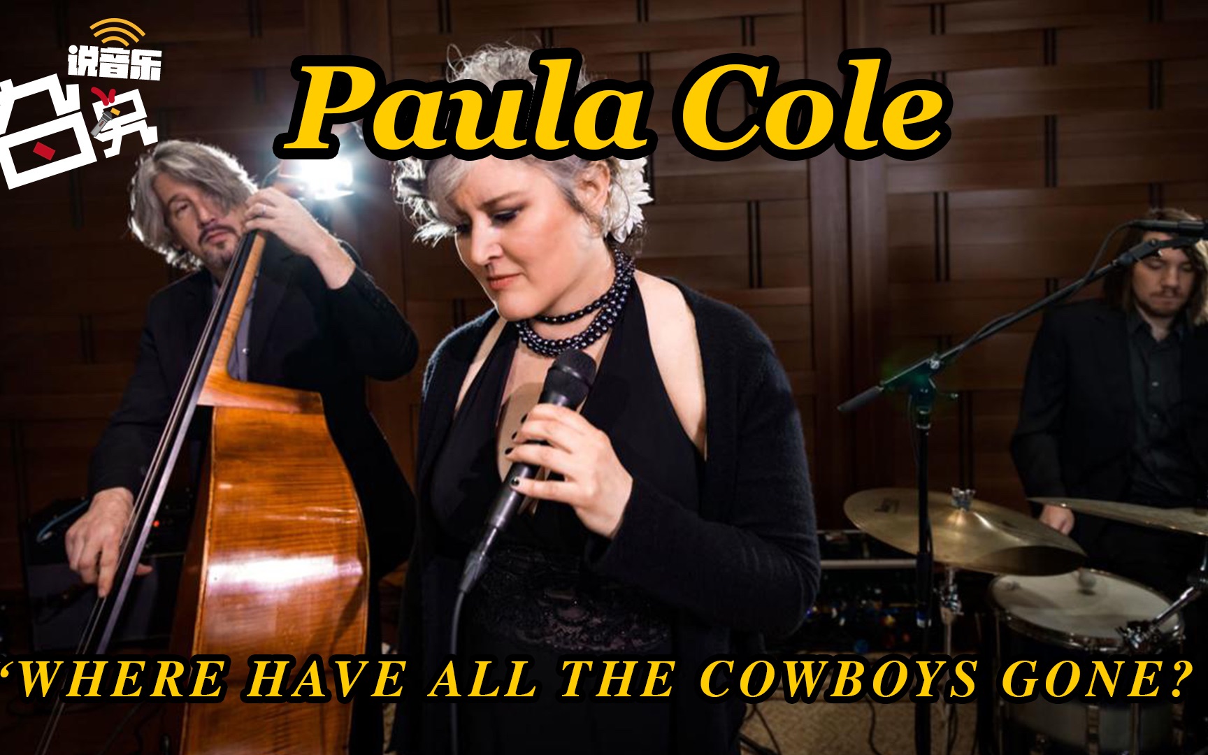 [图]一位很多人不知道的实力派歌手Paula Cole的《Where Have All the Cowboys Gone》我听了20多年