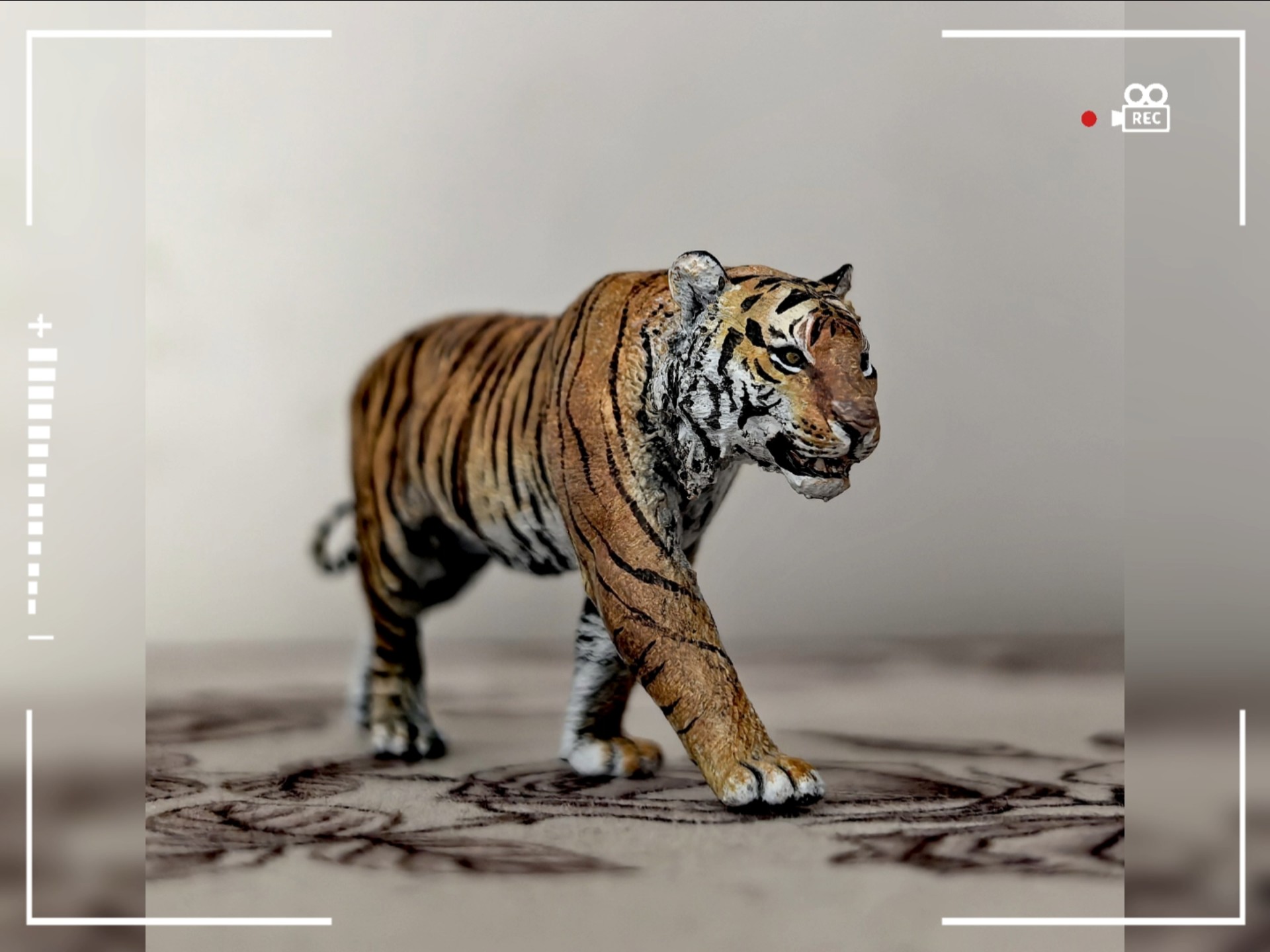 1/35孟加拉虎-panthera tigris tigris