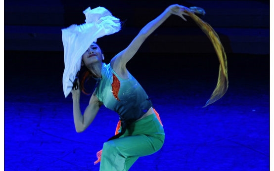 【民族民间舞】《翠狐》-北京舞蹈学院 编导:田露 演员:郭娇