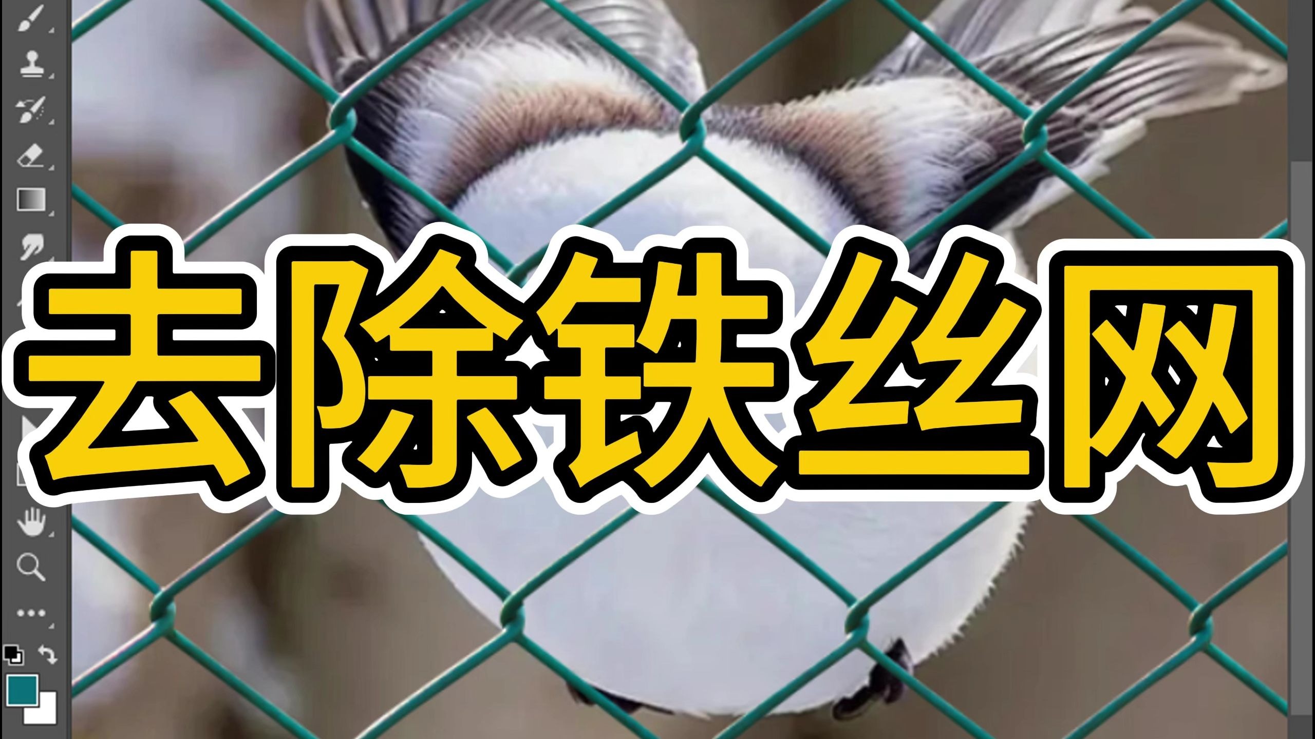 PS教程教你去除铁丝网