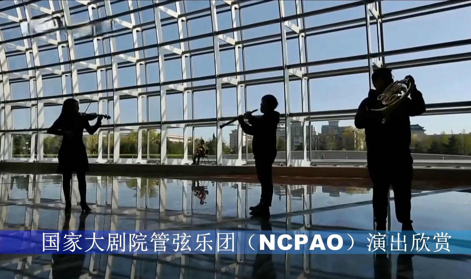 [图]NCPAO音乐家携手钢琴家姜波强演绎舒伯特A大调钢琴五重奏“鳟鱼” AVFV 1204