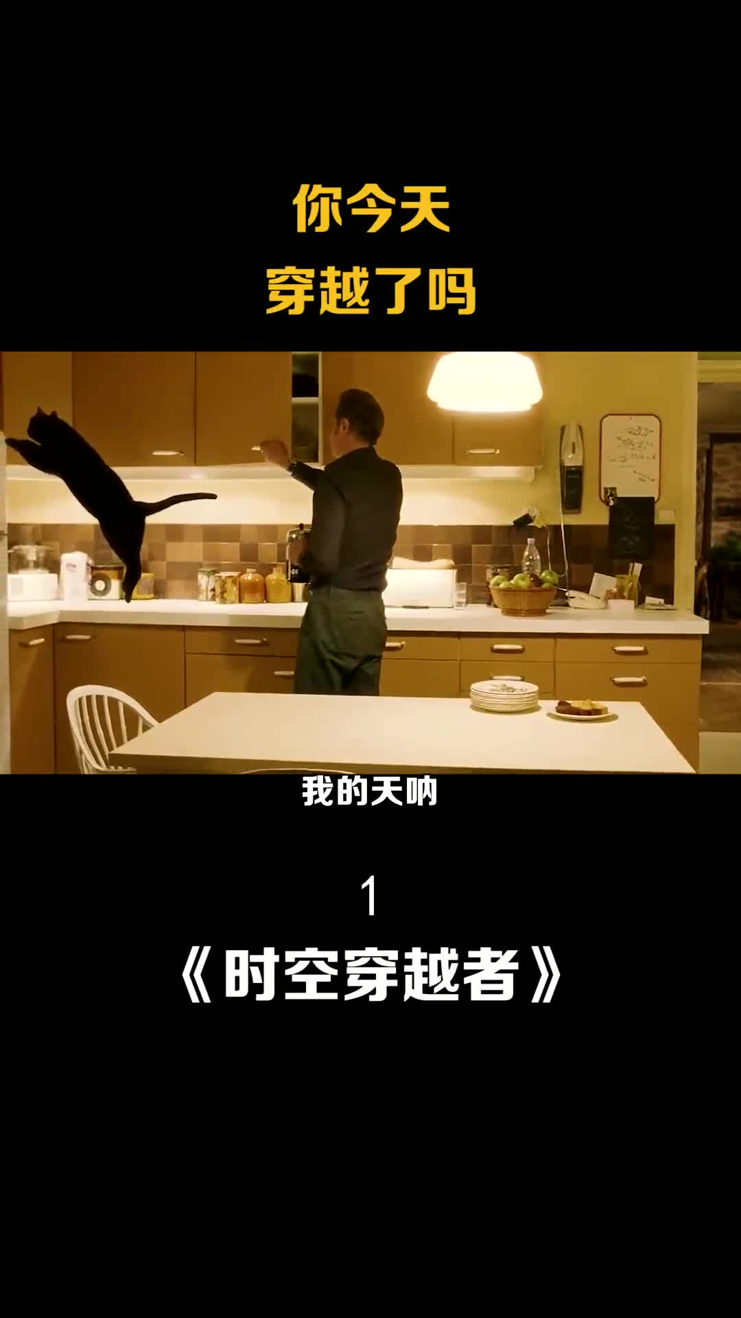 黑猫跳在空中竟然静止不动《时空穿越者》