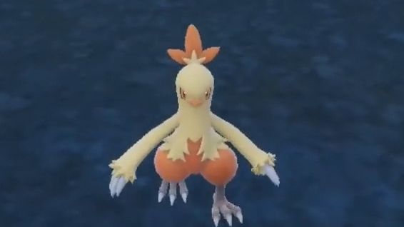 【宝可梦朱紫】同步器 动作展示 no.256 力壮鸡