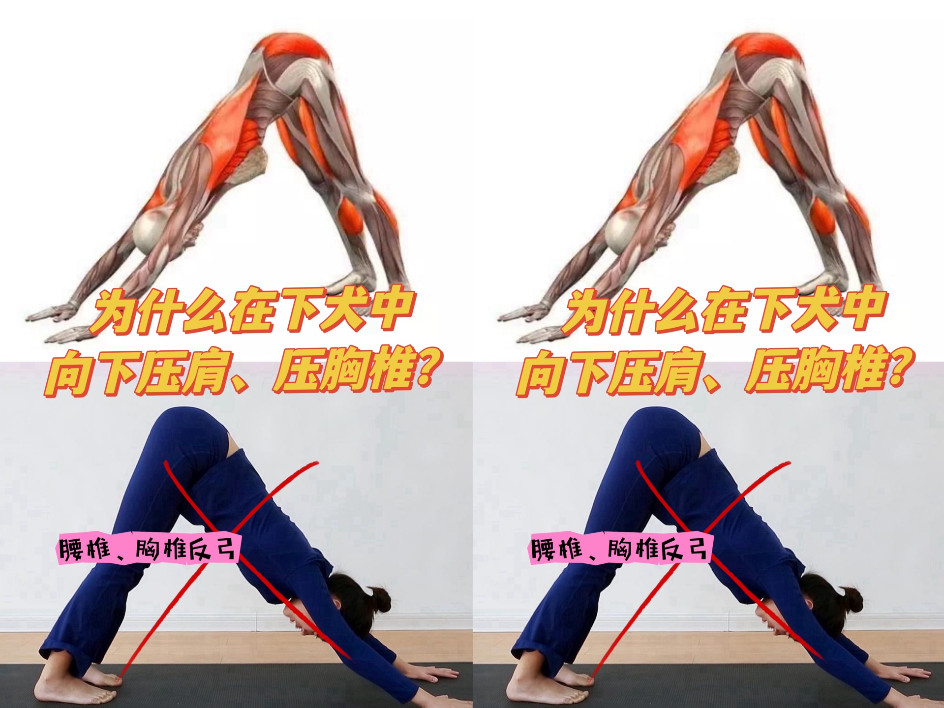 为什么下犬式中,向下压肩,压胸椎?