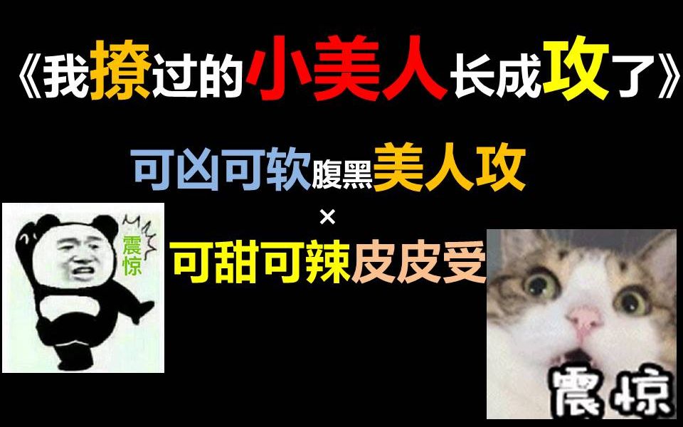 【原耽推文】软萌可爱小美人一朝变攻?难以置信!变身缉毒警最后就能收获爱情吗?哔哩哔哩bilibili