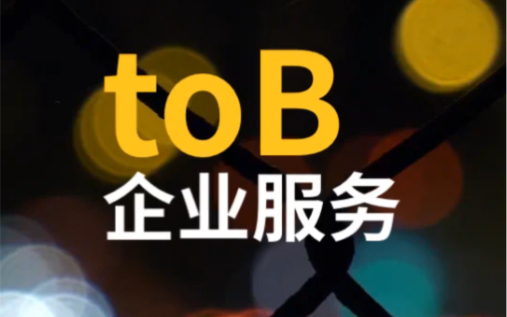 toB企业服务是继消费互联网(电商)之后互联网的重要发展方向哔哩哔哩bilibili