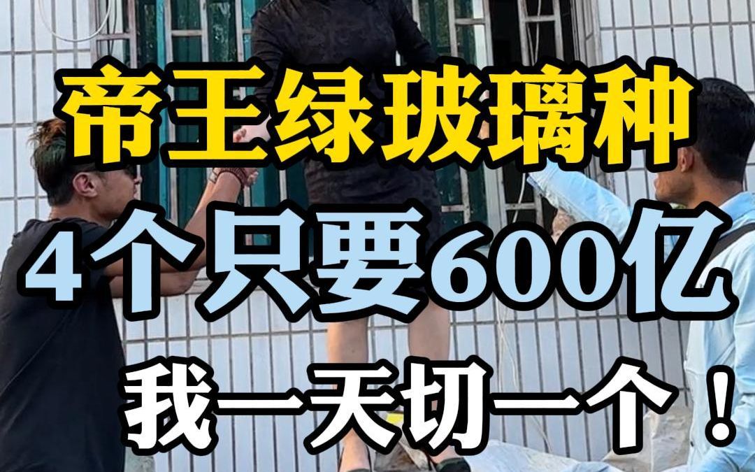 帝王绿玻璃种,四个只要600亿,我一天切一个哔哩哔哩bilibili