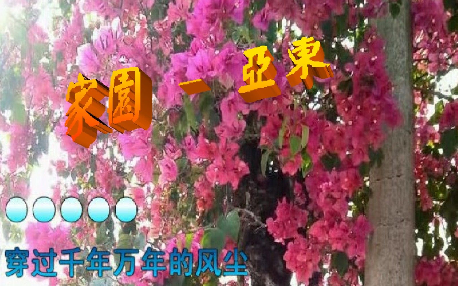 [图]家园 - 亚东，青青绿草淡淡花香，是我们共同的家园