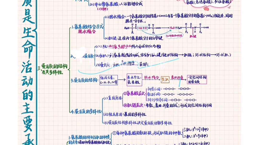 高一生物新版教材必修一第一章第四节蛋白质是生命活动的承担者笔记和思维导图哔哩哔哩bilibili