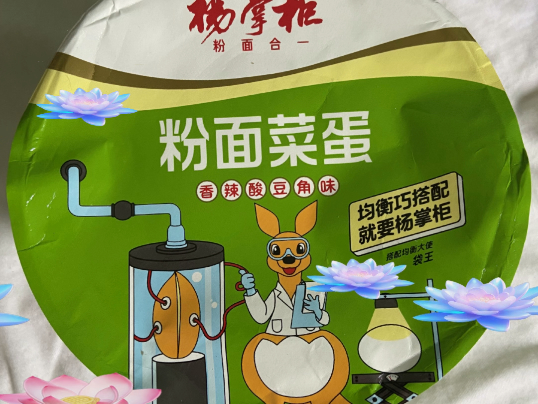 粉面菜蛋康师傅图片