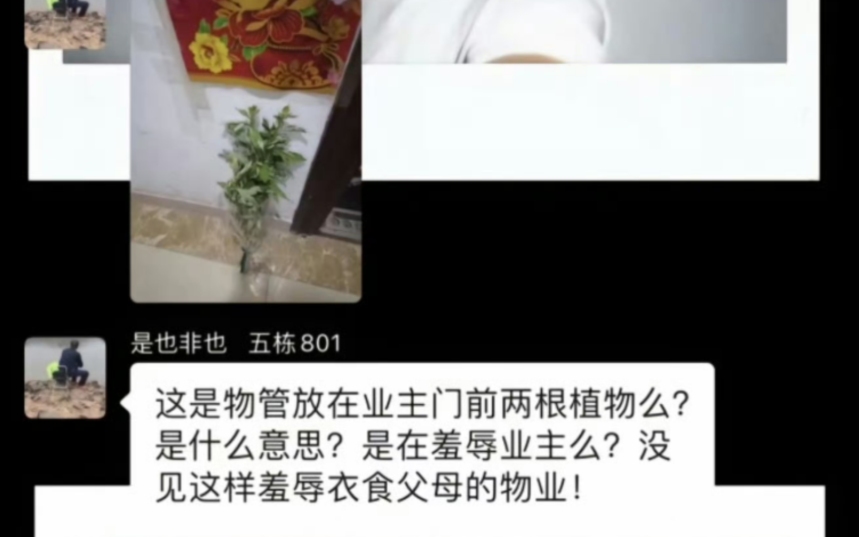 这是物管放在业主门前两根植物么?是什么意思?是在羞辱业主么?没见这样羞辱衣食父母的物业!哔哩哔哩bilibili