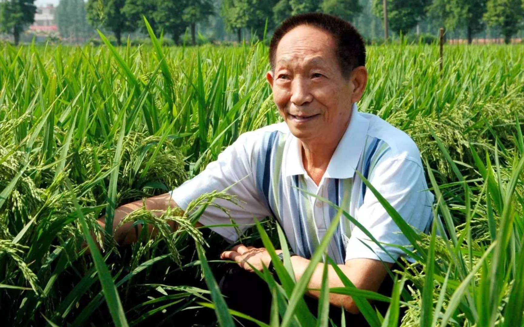 [图]【𝙨𝗵𝝰𝗱𝝾𝘄 𝝾𝗳 𝘁𝗵𝗲 𝙨𝘂𝗻】“生的伟大，死的光荣”（致敬向）