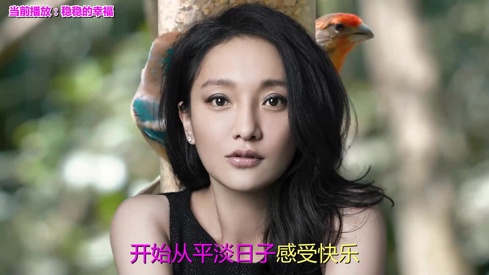 稳稳的幸福歌曲(稳稳的幸福歌曲下载mp3)