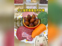 下载视频: 妈呀！一大早吓一跳！今天给鼠鼠来个“扭扭”大餐！嘿嘿