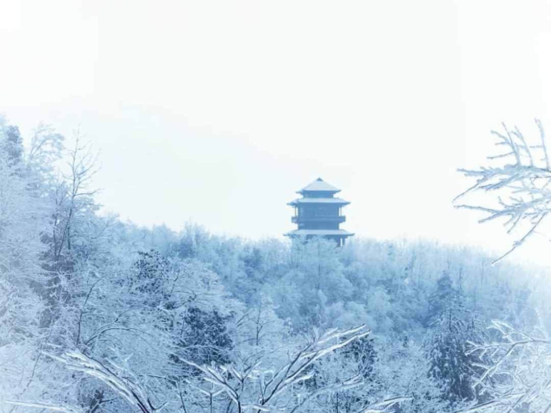 好期待武陵源雪景 风扬起时繁花落尽,谁执笔为我绘丹青.#雪景#张家界国家森林公园#来武陵源看张家界#行走张家界#张家界哔哩哔哩bilibili