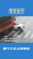 Descargar video: 行经路口时不闯红灯，遵守交法远离事故