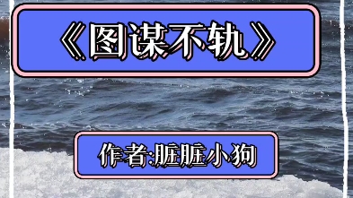 《图谋不轨》by脏脏小狗哔哩哔哩bilibili