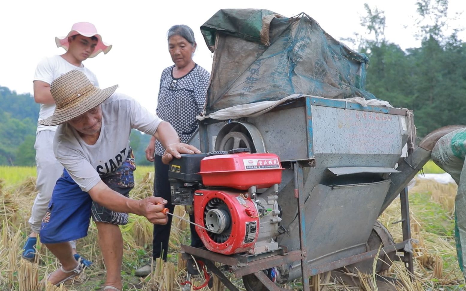和爷爷奶奶打谷子,又遇上打谷机坏了,感叹一粒米来得太不容易了