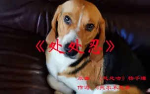 Tải video: @比格犬受害者联盟 经典惊世巨作《处处忍》