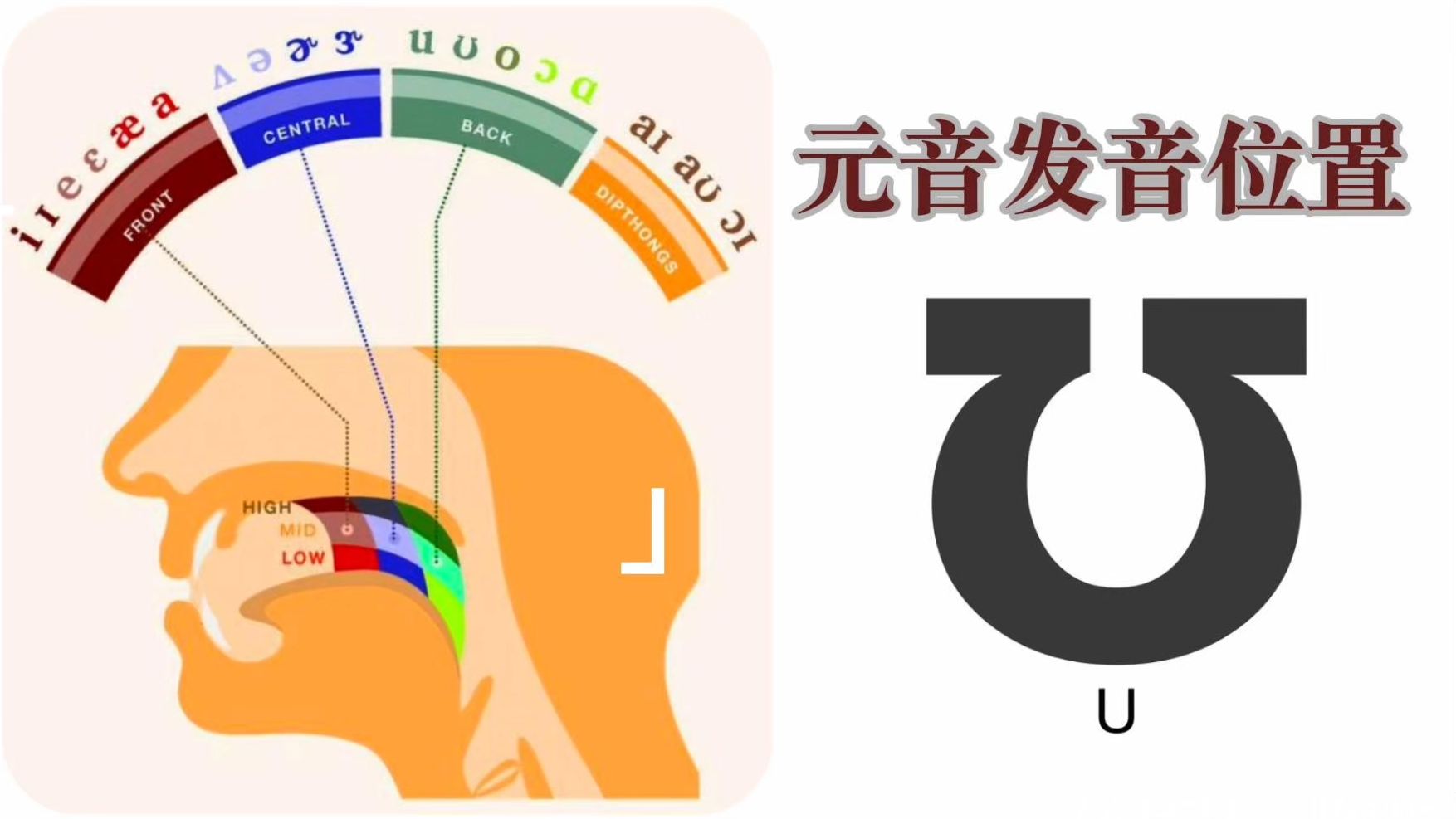 元音发音位置