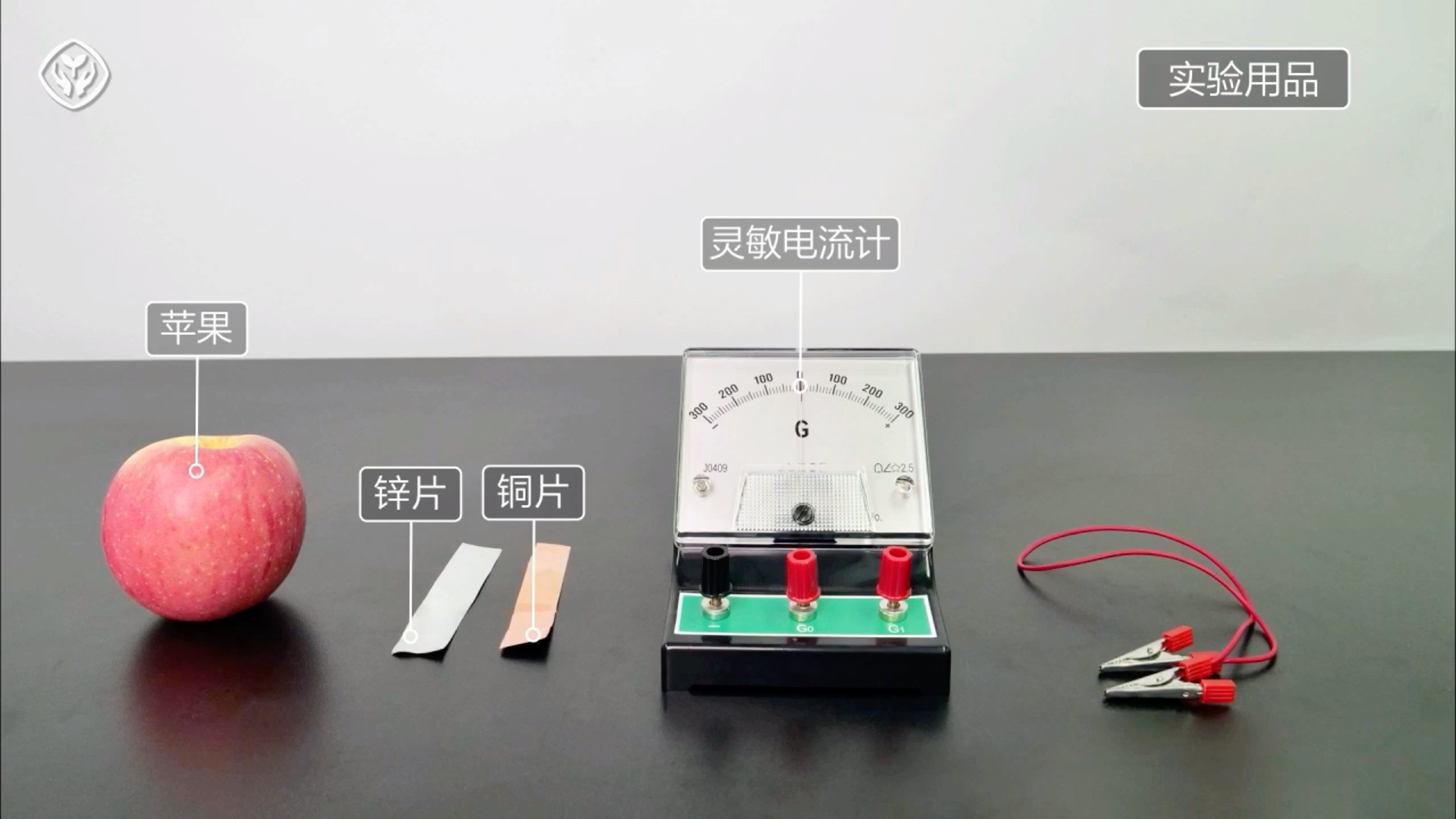 【化学必修2】6.1探究 水果电池 简易电池 原电池趣味实验 示范实验试验新人教版统编版部编版高中化学高中理综2019新课标新课改新高考化学哔哩哔哩...