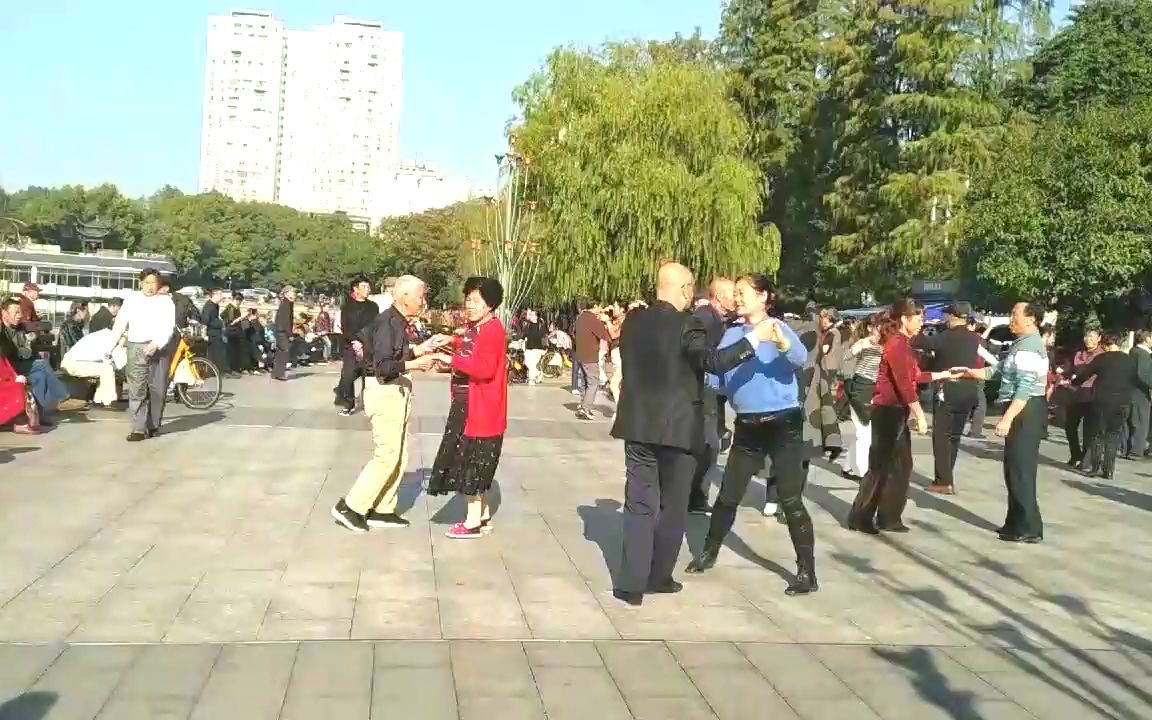 美丽冬日带大家欣赏株洲市美丽的炎帝神农公园热闹非凡美景无限哔哩哔哩bilibili