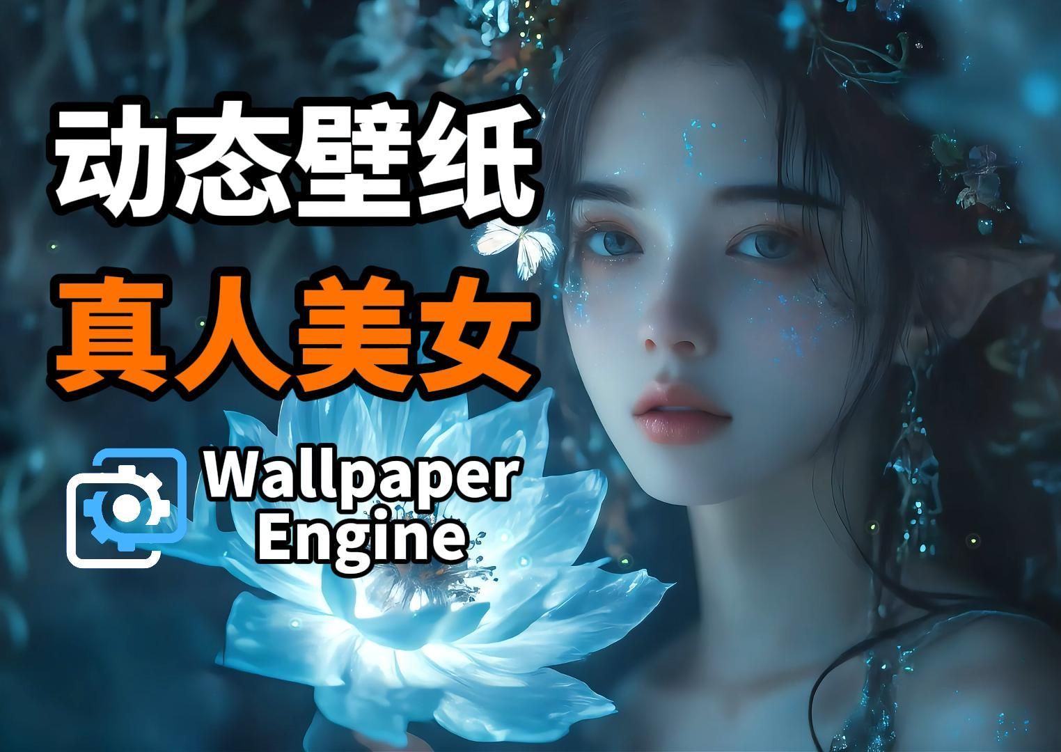 【Wallpaper Engine】壁纸推荐 唯美真人美女哔哩哔哩bilibili